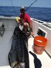 Puerto Vallarta fishing report My Marlin September 2019 (3)
